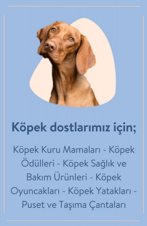 KÖPEK